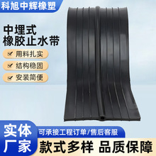 中埋式橡胶止水带651型652型钢边背贴止水带P型建筑工程止水带