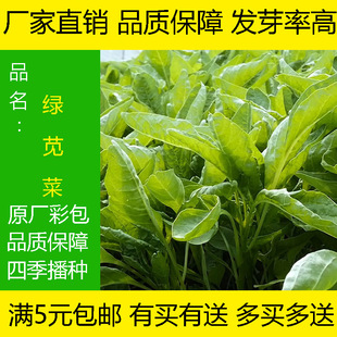 �A�~�t�{�˷N�������߮a���~�h�����͟��͸ߜ��ļ������߷N��