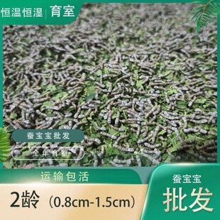 �Q����ɣ�~ι�Q���rɣ�~�Q��1234�g��Ȼ���߲ʌW���B�Q���b���Q�O