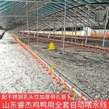 全套鸡用自动水线饮水器养殖设备养鸭用品鸡用自动饮鸡鸭水线配件