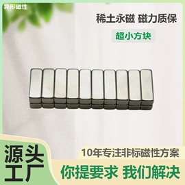 永磁材料;其他磁性材料