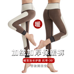 德绒蚕丝保暖裤女加厚加绒修身显瘦加厚护膝打底裤羊羔绒棉裤女冬