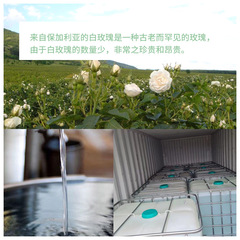 Bulgarian Contract Straight Forward Rare Kazanlak White Rose Essential Oil Hydrating Moisturizing First Saturation