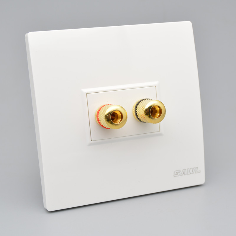 86型双头环绕立体声音箱面板影音多媒体2头音响喇叭音箱墙壁插座