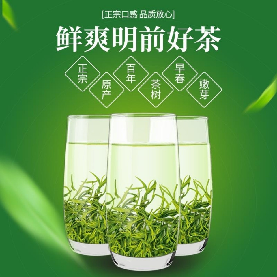 茶叶信阳毛尖2025明前新茶浓香型耐泡高山云雾绿茶茶农自产自销