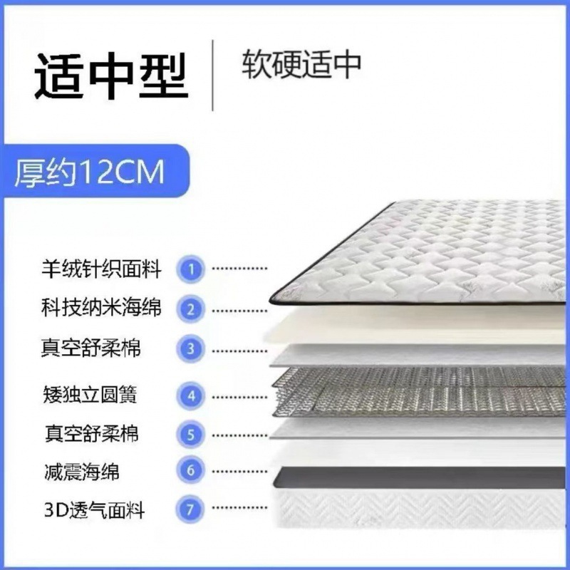 香港セイマス シモンズ ソフトマットレス トップ10ブランド エコノミータイプ 厚さ20CM 家庭用スプリング ラテックス ココナッツパーム レンタル|undefined