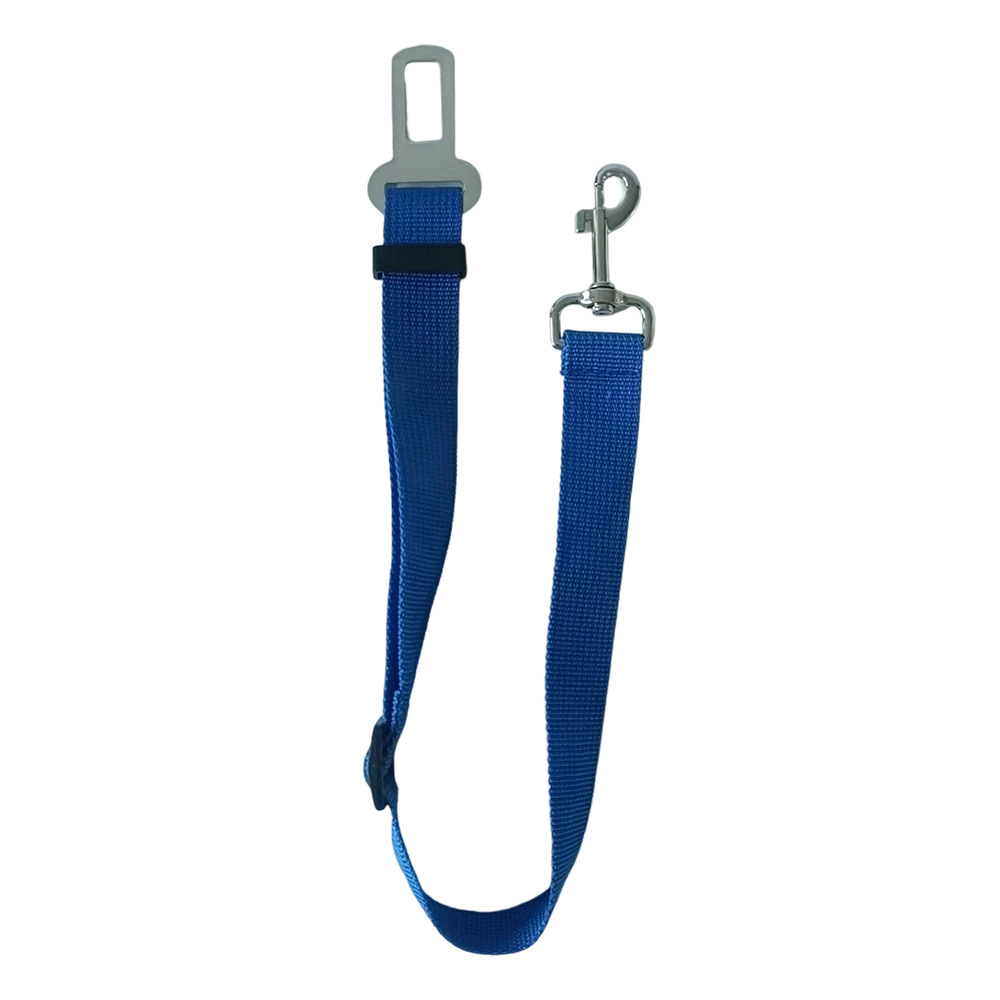 파란색 (큰 고리)