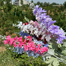 �¿��c���w��ݻ��ٻ���ƿ��Y���b[�����