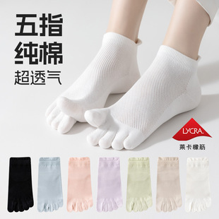 ��ָ�mŮ�ļ��ޱ���10A������ֺ�m�W��͸������_ֺ�m���_���m��