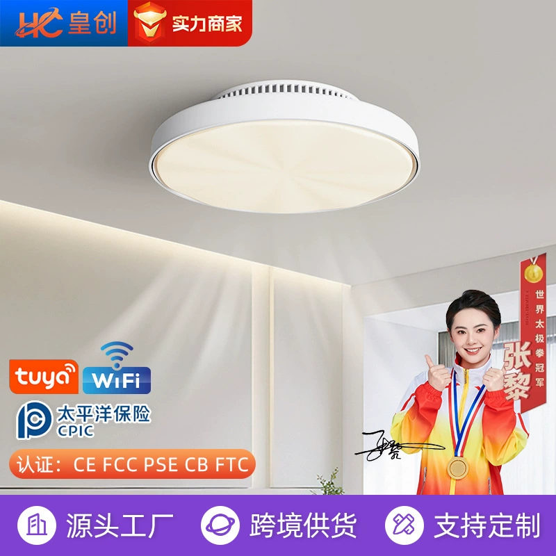 Smart air fan for bedroom, antibacterial ceiling light, eyes protection