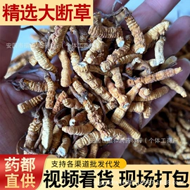 冬虫夏草;其他药食同源