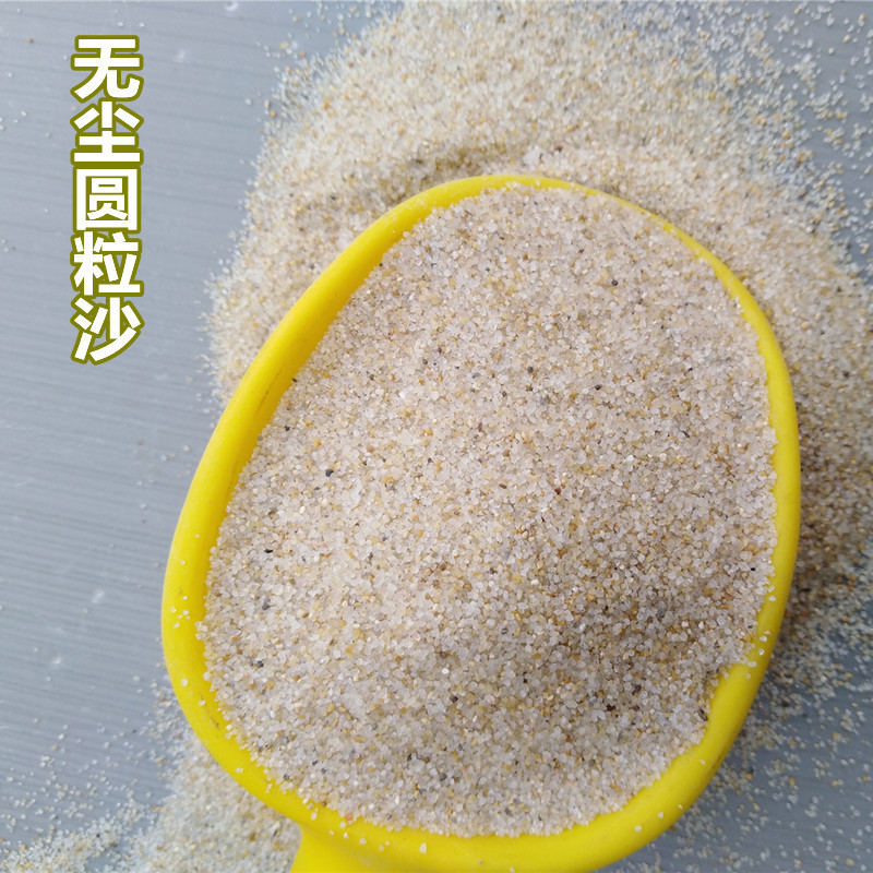 公园沙滩细沙孩子玩耍圆粒海沙销南京泳池铺底跳远沙坑用的砂