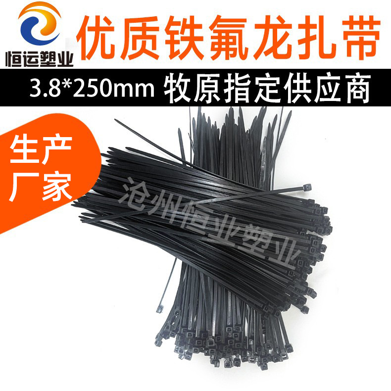 hw铁氟龙扎带自锁式蓝色聚四氟乙烯扎带黑色耐高温铁氟龙扎带黑色