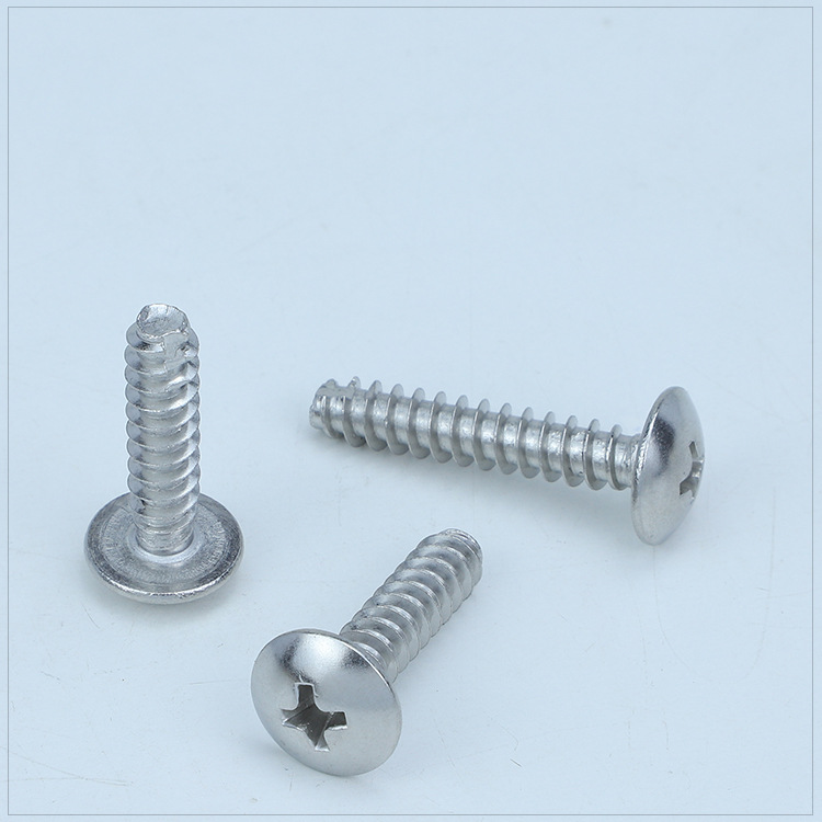 304不锈钢TT大扁头割尾自攻螺丝2