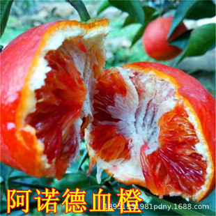 ���Ӽ޽� �缃��ľ�ϳ��� ����Ě���۶���ľ�o�ј����ľ�ϸ���