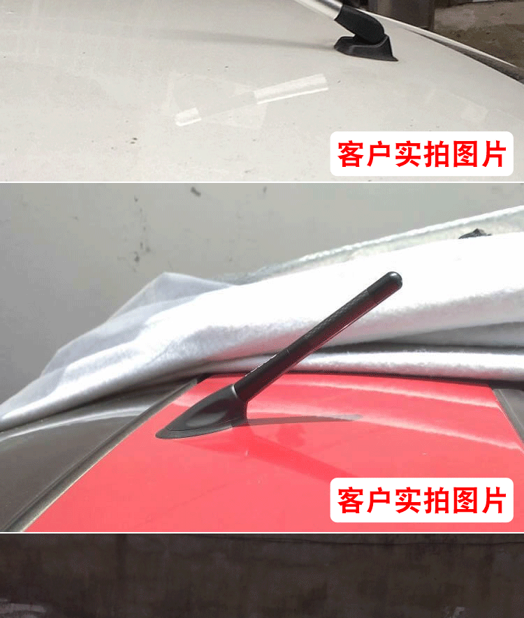 12CM_09.gif