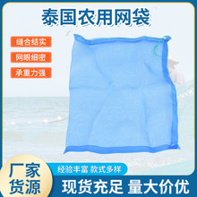 泰国塑料瓶收纳蓝色网袋运输耐磨透气沥水收纳袋物流塑料编织袋