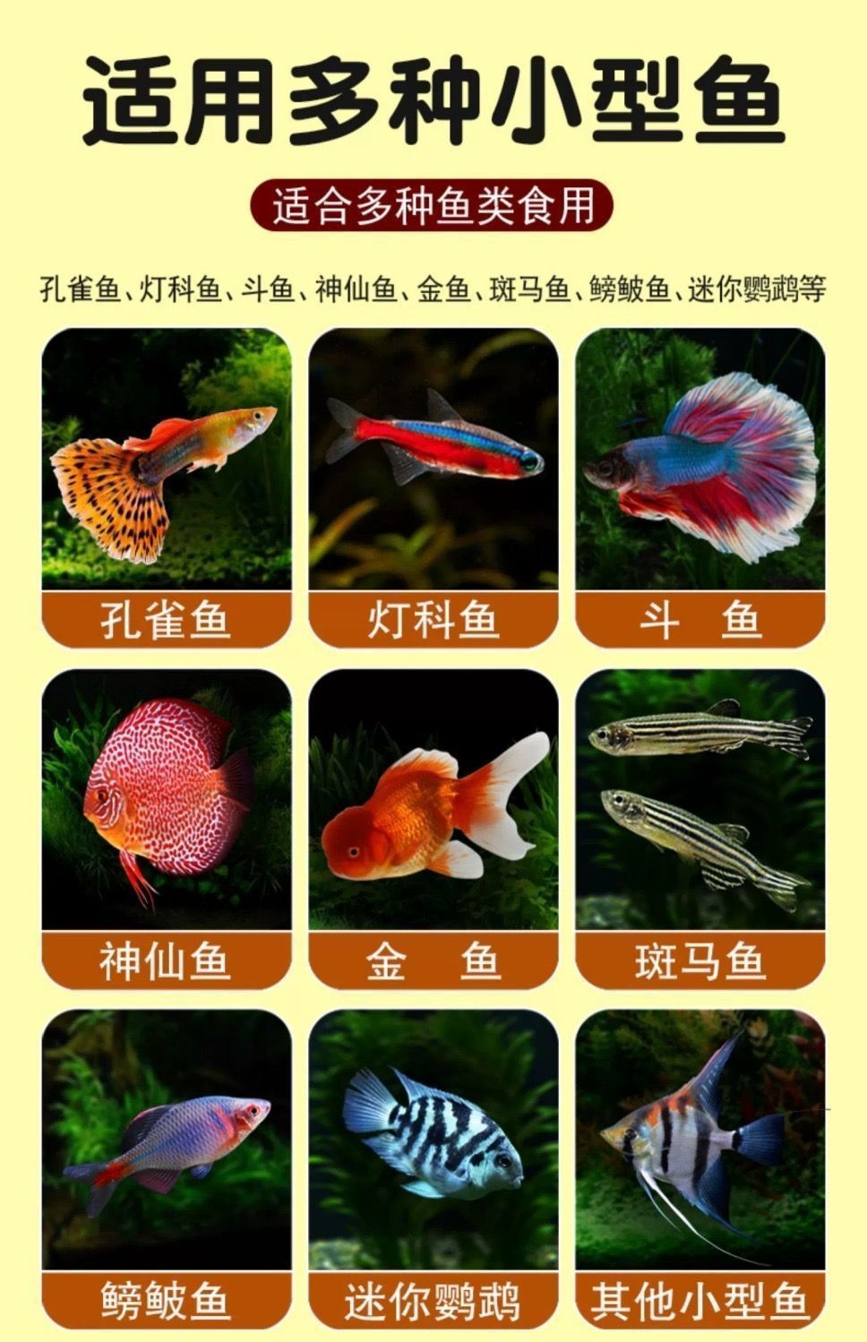 3dcd32d9-2530-431f-9e98-dbc59b9c77f1.jpe