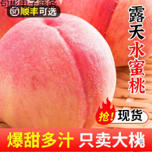 �Fժ���r���Ӽt����ˮ����9�����ë�Ү���ˮ��5��