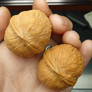 ����F������������ְѼ�Ұ�����߼y�������S�C��ʽɢ��