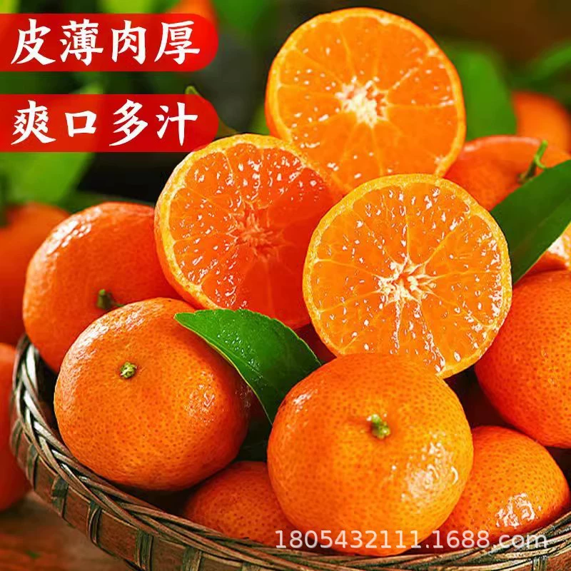 Сахарный апельсин из Гуанси, целая коробка, свежие сезонные свежесобранные фрукты, сахарный апельсин без косточек, медовый апельсин, чистый сладкий