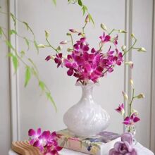 �r����ϻ���ֱ�l��ɫ�廨���r���m�m��ˮ�B���ڲ͏d