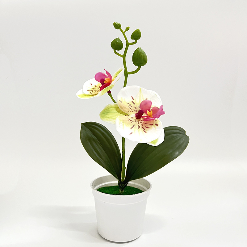 녹색과 흰색 (높이 25*가로 13cm)