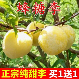 �������Ә���޽��ش�����Ó��������ӹ������ϱ����N���A�����