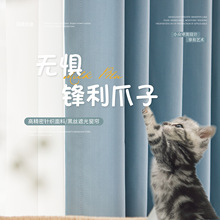 2025�ļ�؈ץ������͸���҃ȴ����_�R�׏N���͟����{���L��