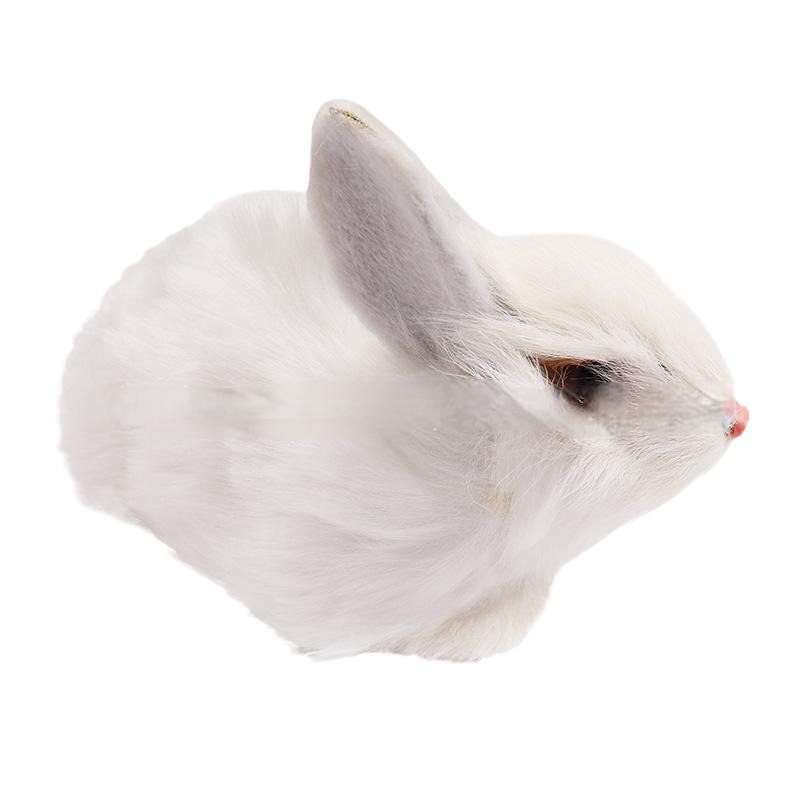 Simulation rabbit shape specimen biological teaching model Primary school science experiment equipment Student students with junior high school creatures