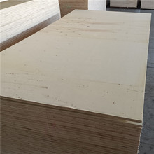 ��Ѭ���z�ϰ���Ӱ��b����b��ľ��15/18/20/22/2530���ľ�z�ϰ�