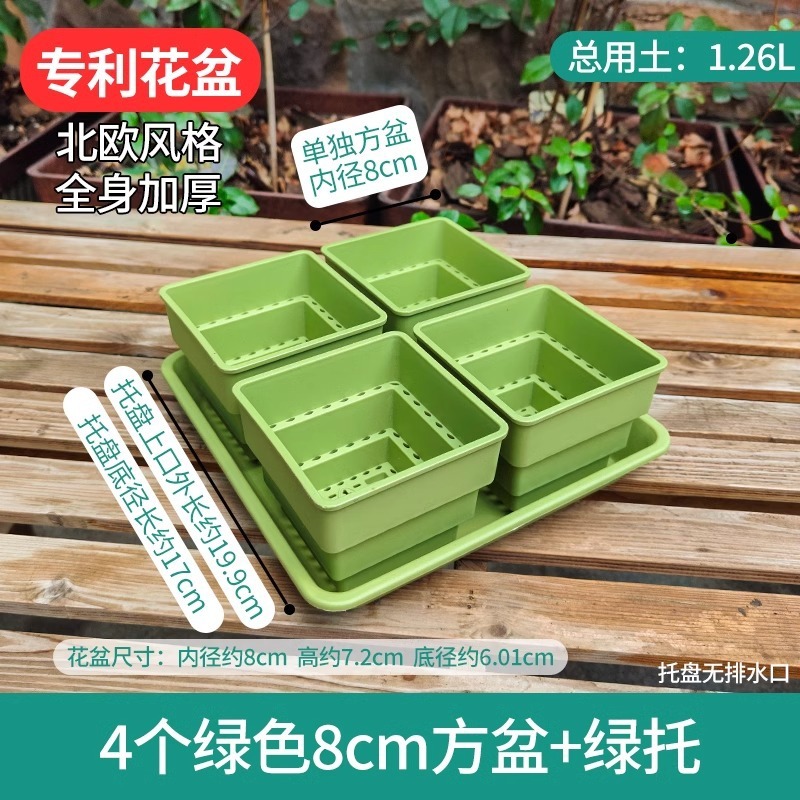 樹脂多肉植木鉢大口径小白角コンビネーション台座付きトレープラスチック通気植物専用根付き鉢|undefined