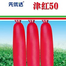 ���l����t50�}���N���}���N��ˮ���}���N��