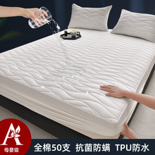 2025�¿�ȫ�޼���50S�������\�A�޷�ˮ���Ҵ��״��ִ��|