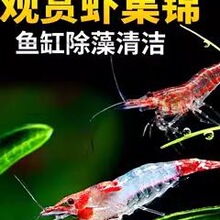 �ښ��r�~��ˮ���坍���幤���^�p���r������w��ϵ�ˮ���쾰