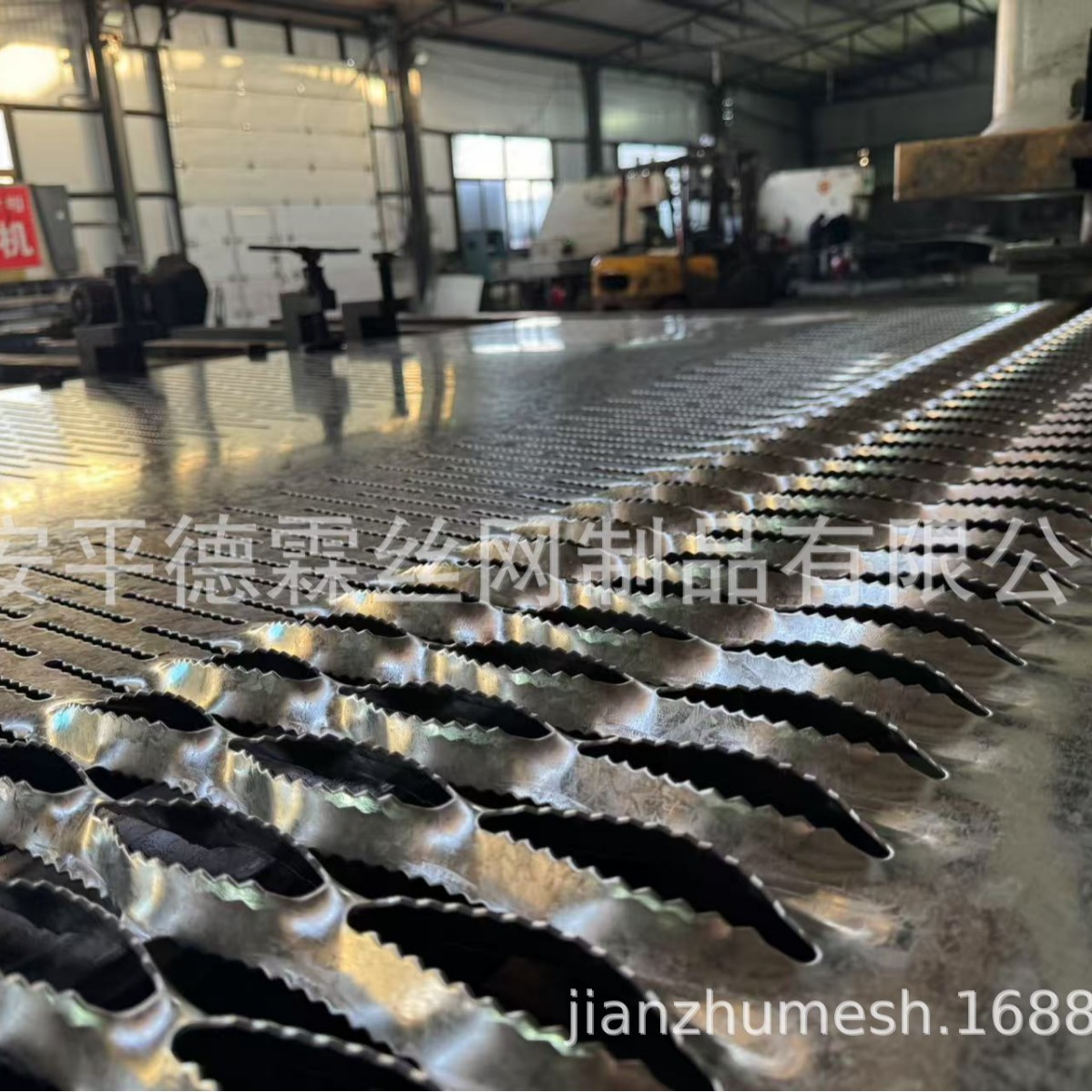 2025-03-10 13:40:32.jpg