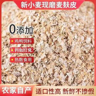 С����Ƥ5����]ԭ����~��C����x�߲˷��Ͼ����o����}5���b