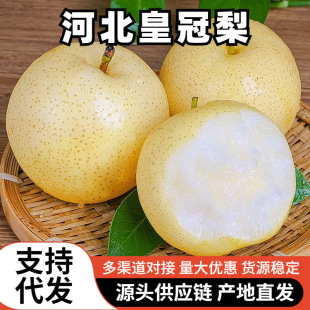�ӱ��ʹ���������]���r����ˮ�������֭����������5��ѩ��10