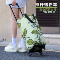 大容量家庭用折り畳み式携帯型のショッピングカートで野菜を買います。