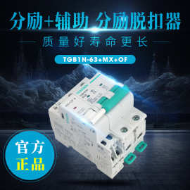 天正 TGB1N-63空开单相2P断路器带分励脱扣辅助远程消防强切MX+OF