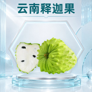 �����ȹ� ���l1/2/3/5��С�д������֦����ܛ�d�㻬���rˮ��