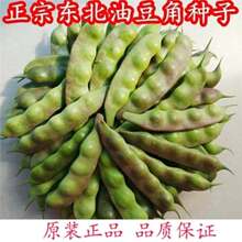 |ͶNһctͶǷNь܊ļ߮aǷN