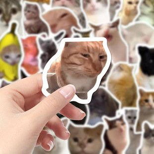 110 милых смайликов meme cat cat наклейки смешные песочные скульптуры мобильный телефон кот рабочий стол украшения diy наклейки