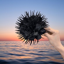 �nϵ��ɫë����Ƭ�p�Ӵ��c�lȦŮ㼑��L�����^����̖���|�l��^�K