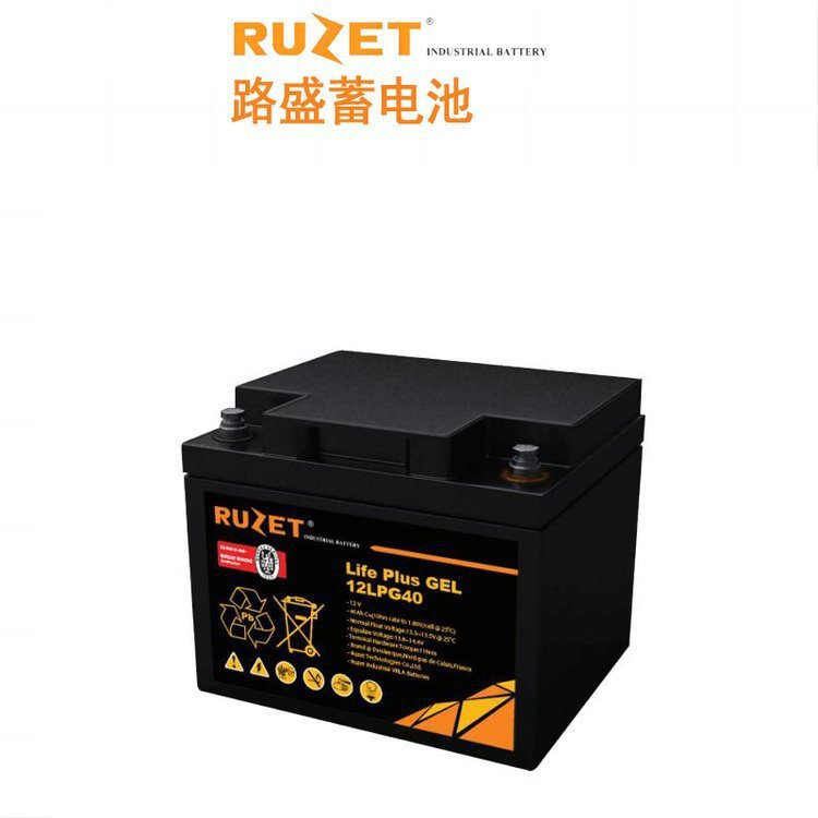 法国路盛GEL铅酸蓄电池12LPG45 12V45AH净化电源