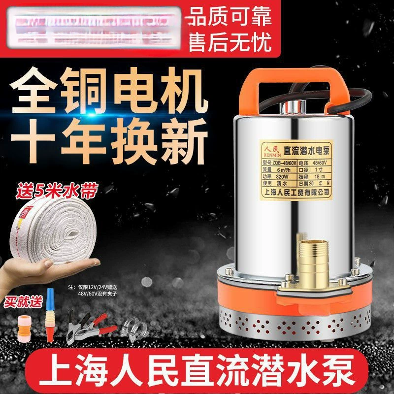 Водяной насос 12V24V48V60V72V постоянного тока, погружной насос для дома, сельского хозяйства, автомобиля, электромобиля