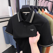 2026���¿�̽����޶���t����ʿ�������̄����e���IPOLO��