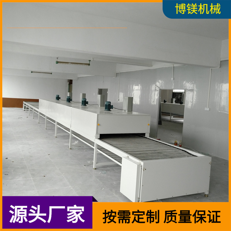 源头厂家直销耐高温不锈钢铁佛龙网带隧道炉烘干线皮带流水线