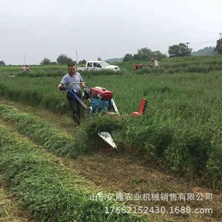 甘肃苜蓿青稞收割机 皇竹草黑麦草割晒机 茴香大豆割倒机