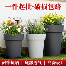 ���������¼�õ��Nֲ���B���N����Ͳ�A�λ����̨��֬���ϴ���